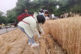 哈兰德本场数据：10次射门2射正，错失3次机会，评分6.5全场最低